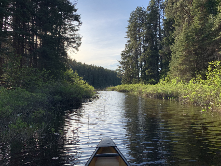 Doe Lake 1