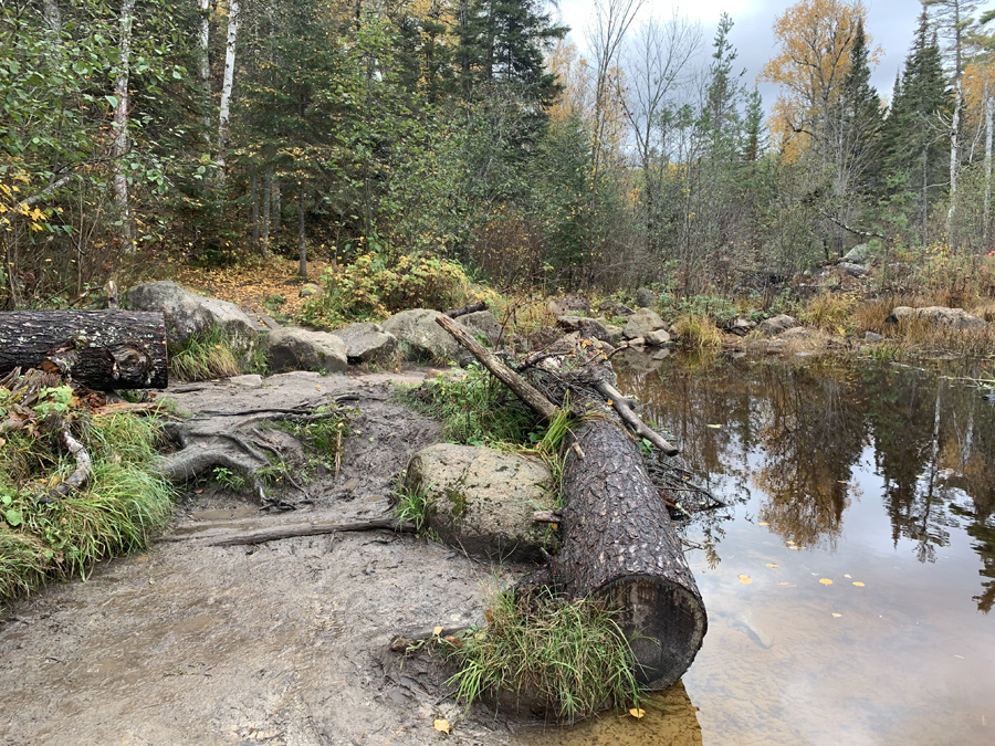 BWCA Entry Point 16 to Moose River Portage 3