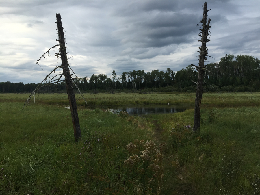 BWCA Entry Point 19 to Stuart River 2