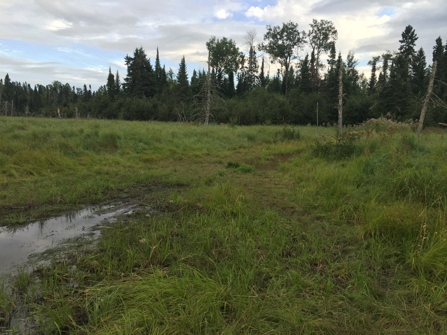 BWCA Entry Point 19 to Stuart River 3