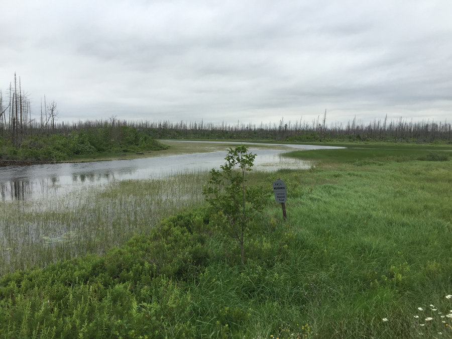 Island River Entry Point 9