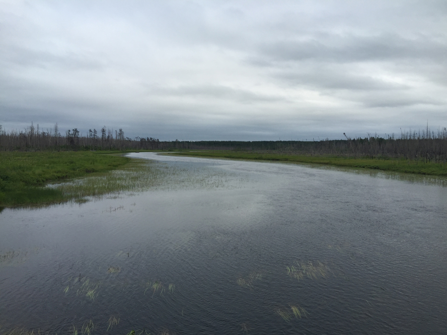 Island River Entry Point 7