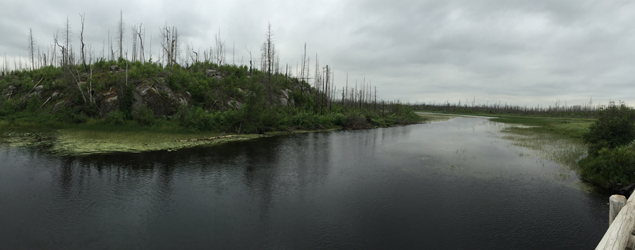 Island River Entry Point 8