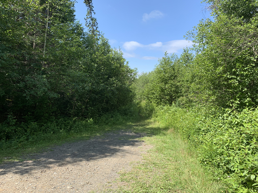 Bower Trout Lake to BWCA Entry Point 43 Portage 3