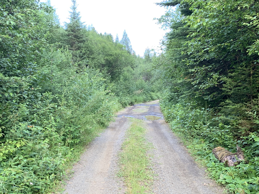 Bower Trout Lake Entry Point 2