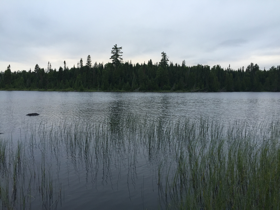 Bog Lake Entry Point 5