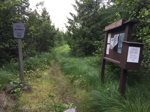 Bog Lake Entry Point 4