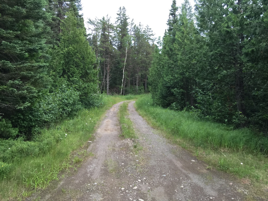 Bog Lake Entry Point 2