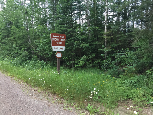 Bog Lake Entry Point 1