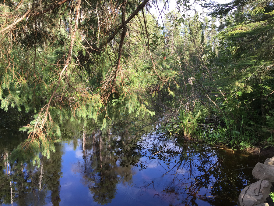 Little Isabella River Entry Point 8