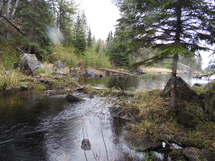 Beaver dam along Record Creek in BWCA Fungus Lake PMA