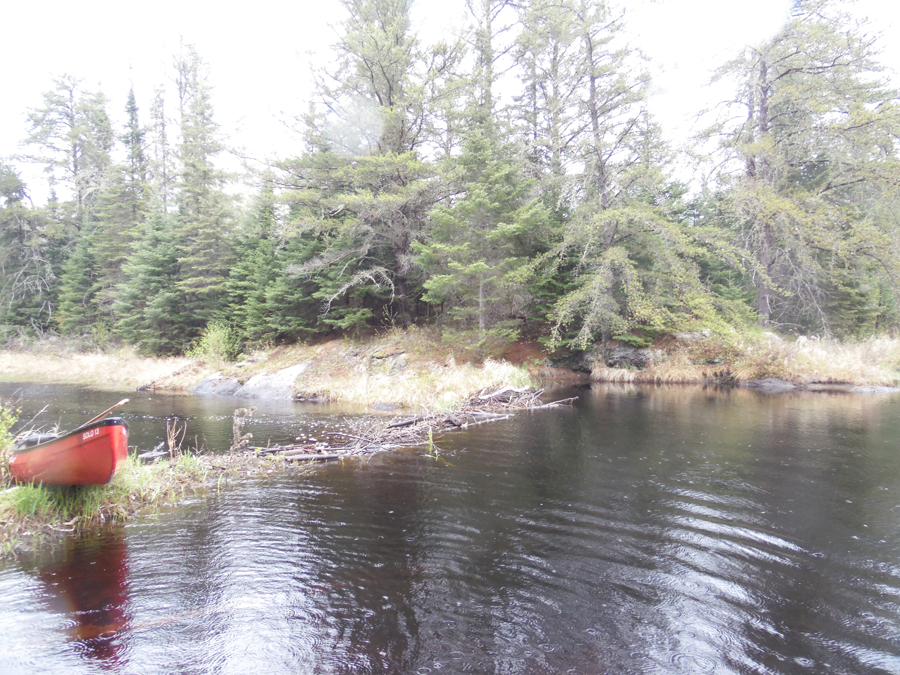 Canoe perched on beaver dam on Record Creek in BWCA Fungus Lake PMA