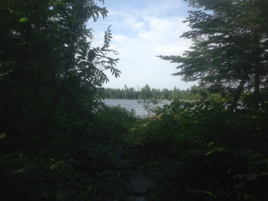 Beaver dam holding back Sedative Lake in BWCA Spider Lake PMA