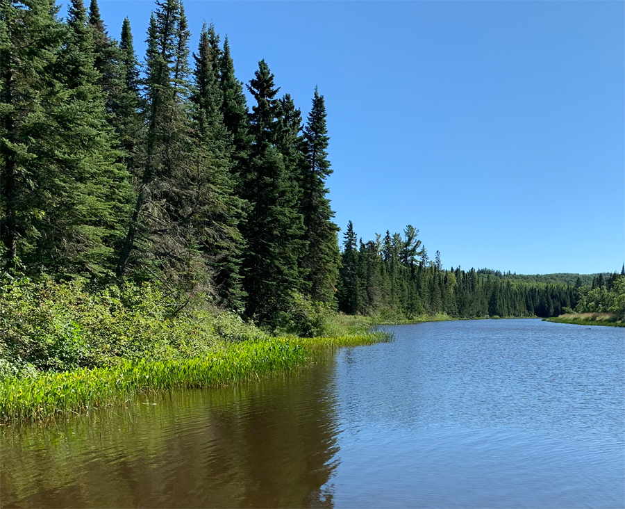 Pigeon River Campsite 9