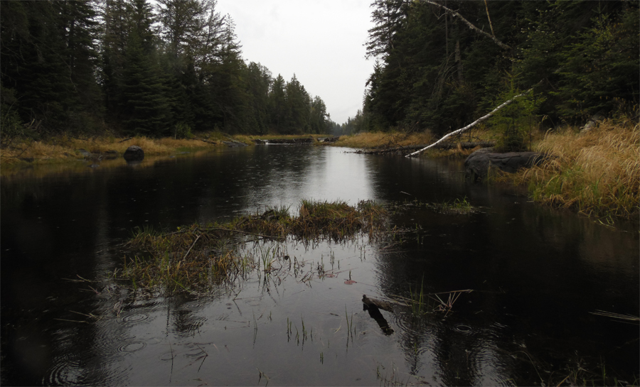 Record Creek BWCA Fungus Lake PMA