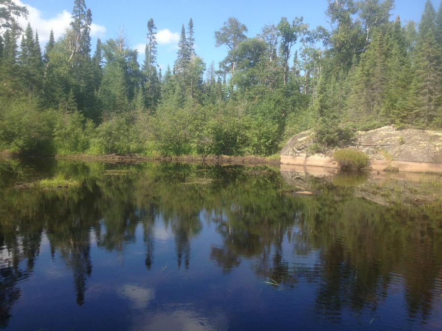 Fool Lake 2