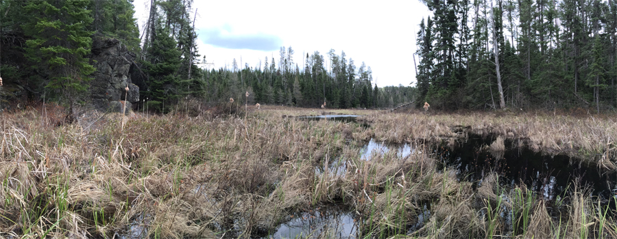 Swollen Ankle Creek 2