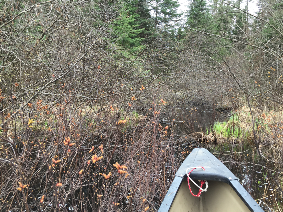 Swollen Ankle Creek 8