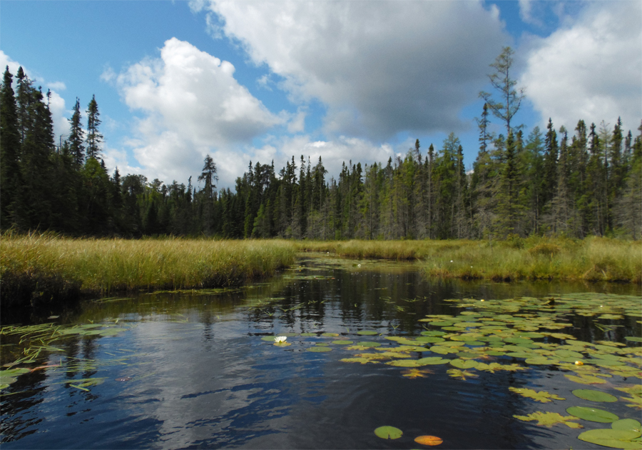 Unnamed Lake 8