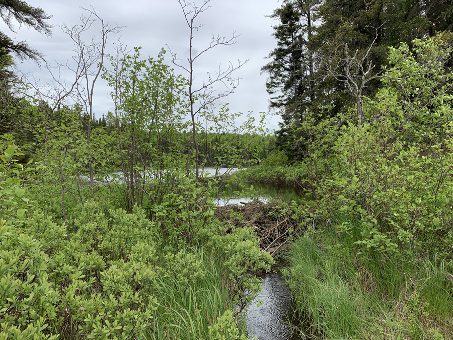 Yogi Lake 1