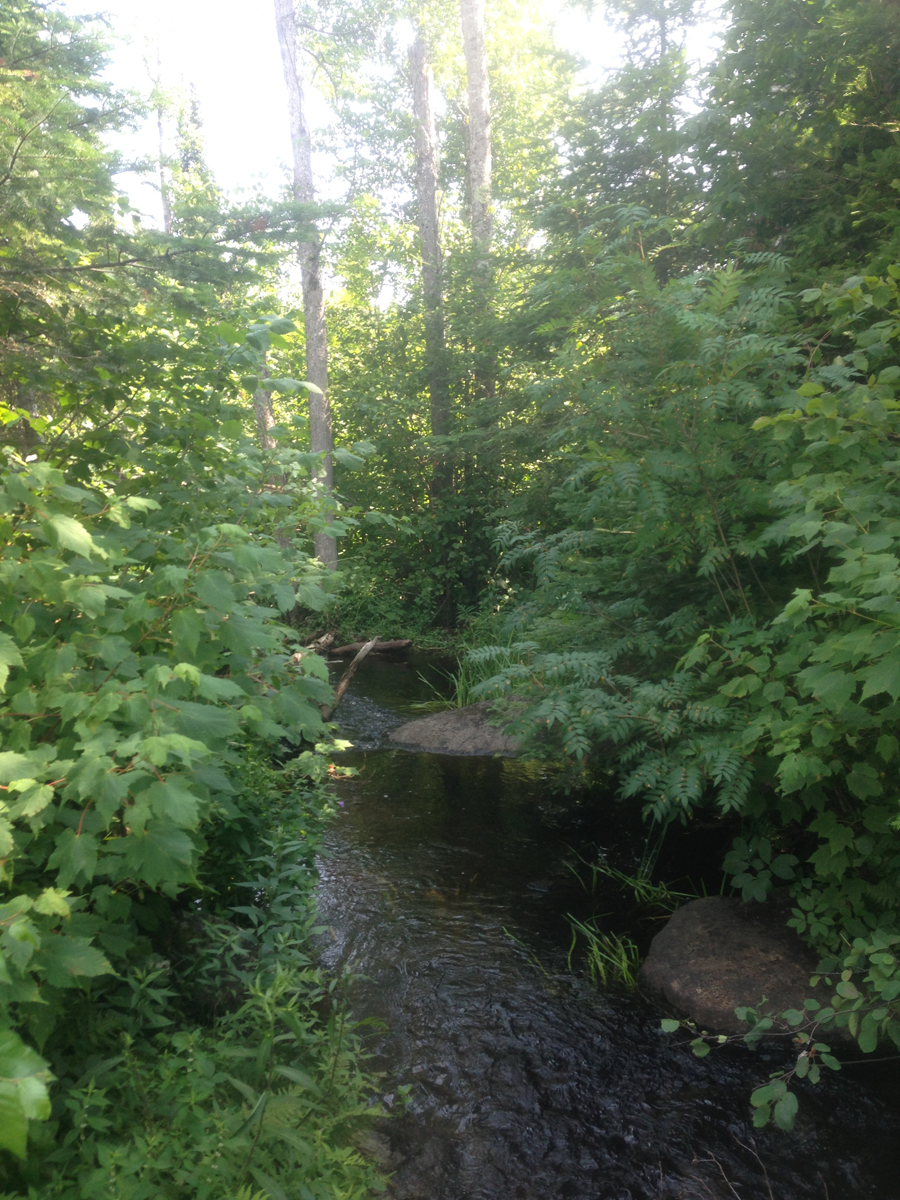 Creek between Sedative Lake and Reflection Lake in the Spider Lake PMA in BWCA