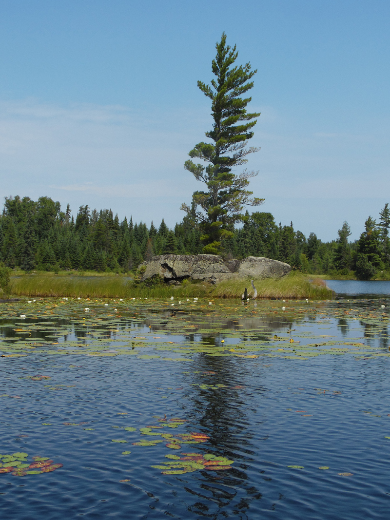 BWCA Spider Lake Primitive Management Area