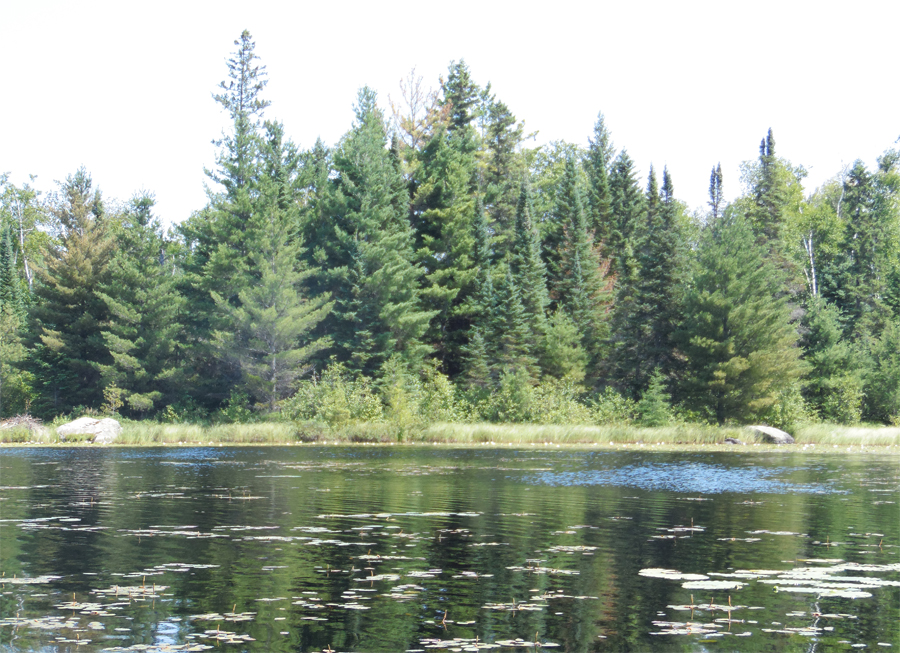 Snatch Lake 8