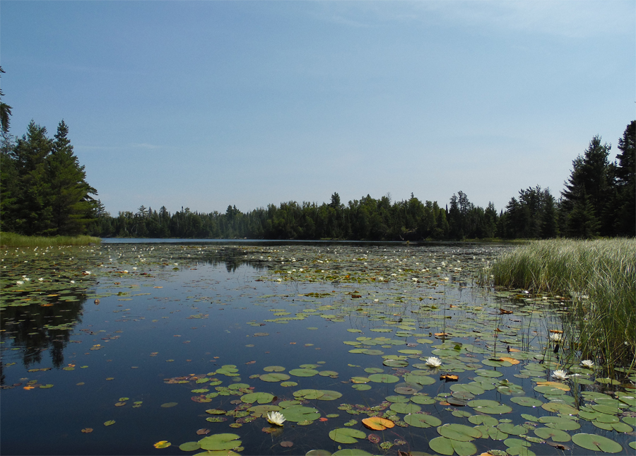 Snatch Lake 3