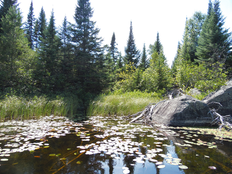 Solitude Lake 1