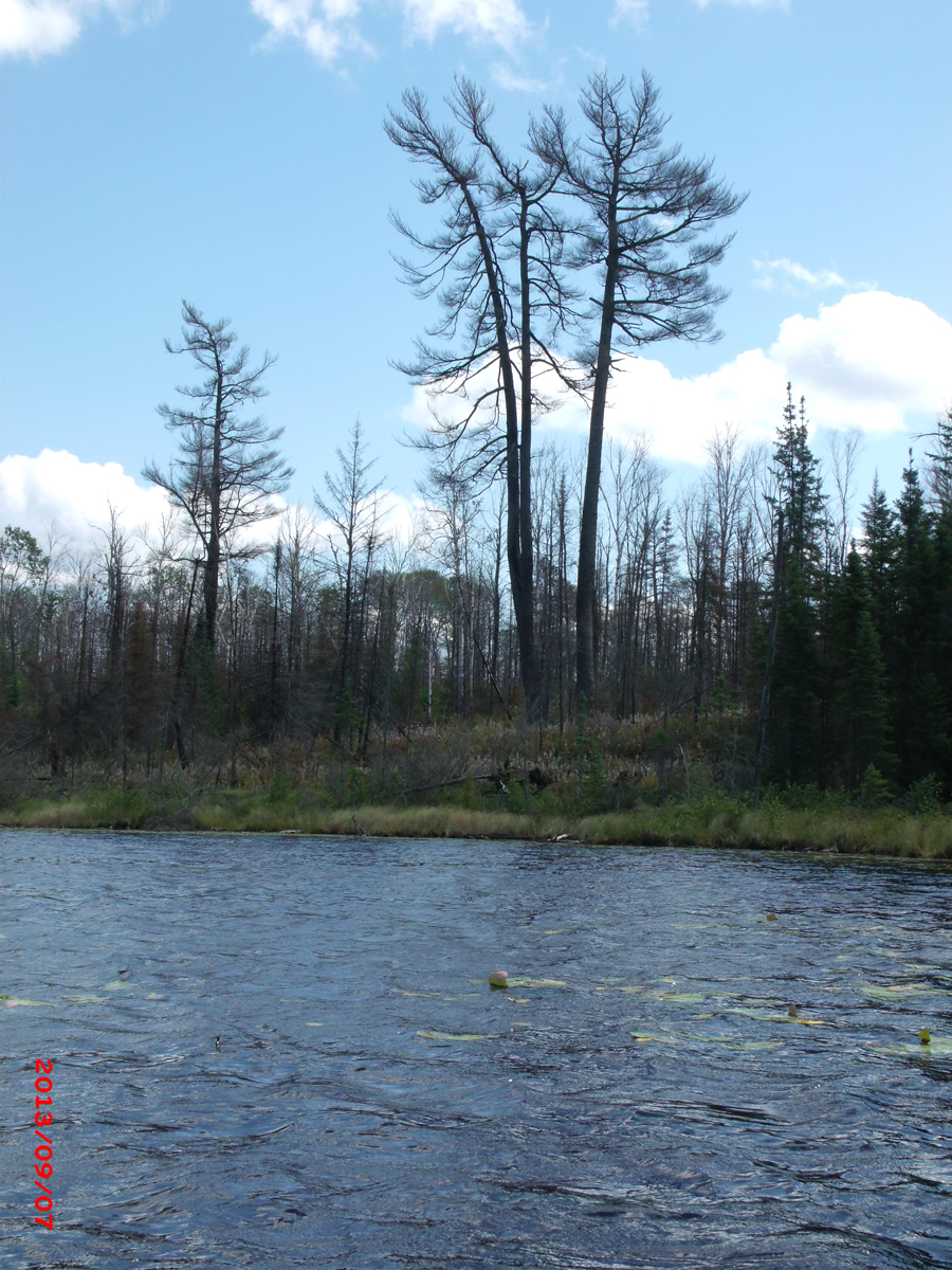 Judd Lake in the BWCA