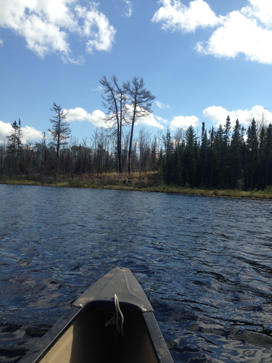 Judd Lake Weasel Lake PMA