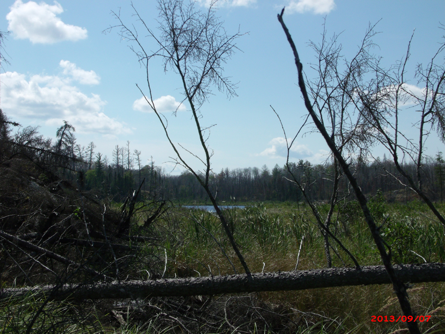 Judd Lake 1