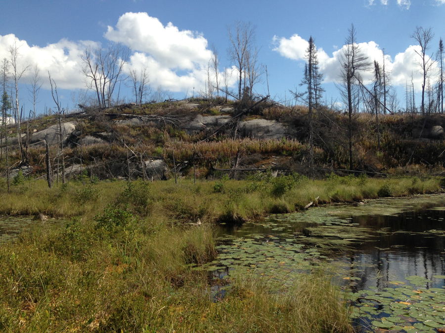 Judd Lake 4