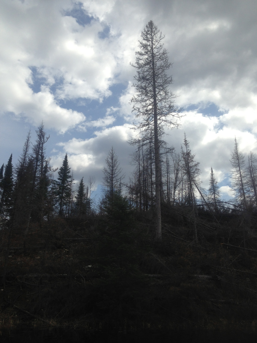 2011 Pagami Creek Fire along Pagami Creek in BWCA