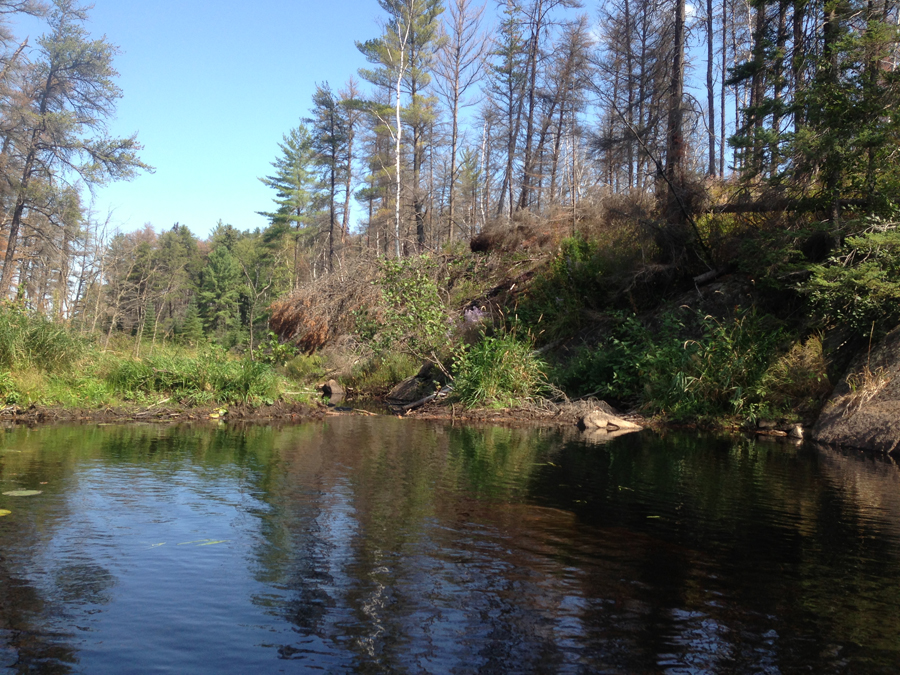 Rock Island Lake 4